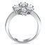 The Sally Ring, smallside view