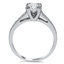 The Alake Ring, smallside view