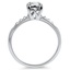 The Abelinna Ring, smallside view