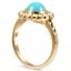 The Meropa Ring, smallside view