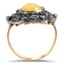 The Aurea Ring, smallside view