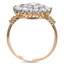 The Dian Ring, smallside view