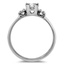 The Vanessa Ring, smallside view