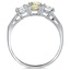The Gracie Ring, smallside view
