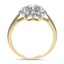 The Yoshino Ring, smallside view