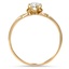 The Delevan Ring, smallside view