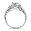 The Camrose Ring, smallside view