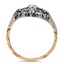 The Talasi Ring, smallside view