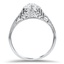 The Leigha Ring, smallside view