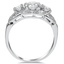 The Corinna Ring, smallside view