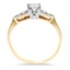 The Nanelia Ring, smallside view
