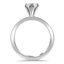 The Lyse Ring, smallside view
