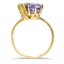 The Amada Ring, smallside view