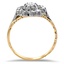 The Jeanmarie Ring, smallside view