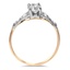 The Aroha Ring, smallside view
