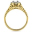 The Beatrice Ring, smallside view