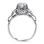 The Chi Ring, smallside view