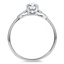 The Kochava Ring, smallside view