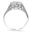 The Havily Ring, smallside view