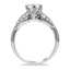 The Lang Ring, smallside view