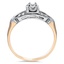 The Eleni Ring, smallside view