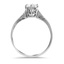 The Lysle Ring, smallside view