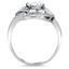 The Devonshire Ring, smallside view