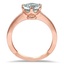 The Janae Ring, smallside view