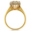 The Aileen Ring, smallside view