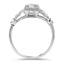 The Danbury Ring, smallside view