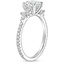Platinum Iris Diamond Ring (1/3 ct. tw.), smallside view