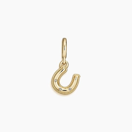 Horseshoe Diamond Charm