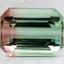 15.2x11.8mm Unheated Bi-Color Emerald Tourmaline