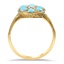 The Nannette Ring, smallside view
