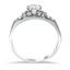 The Fredia Ring, smallside view