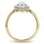 The Anes Ring, smallside view