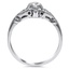 The Nerissa Ring, smallside view