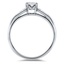 The Linnea Ring, smallside view