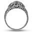 The Samba Ring, smallside view