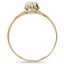 The Cahra Ring, smallside view