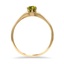 The Kaleena Ring, smallside view