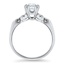 The Roxanna Ring, smallside view