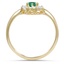 The Carme Ring, smallside view