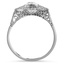The Foyston Ring, smallside view