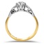 The Margene Ring, smallside view