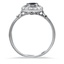 The Ara Ring, smallside view