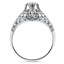 The Kaylani Ring, smallside view