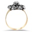 The Belroi Ring, smallside view