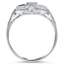 The Roues Ring, smallside view