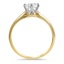 The Berman Ring, smallside view